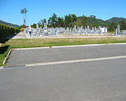 xcn
