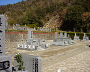 扑