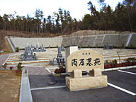扑